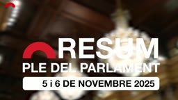 Resum de Plens - Resum del ple del 5 i 6 de novembre de 2025