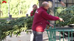 Reportatges i altres continguts - El Parlament es guarneix per donar la benvinguda al Nadal