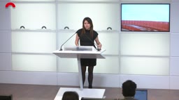 Confer�ncies de premsa - Confer�ncia de premsa de la diputada de la CUP-DT Laura Fernandez [...]