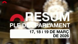 Resum de Plens - Resum del ple del 17,18  i 19 de mar�