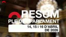 Resum de Plens - Resum del ple del 14, 15 i 16 d'abril