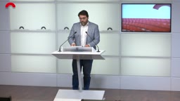 Confer�ncies de premsa - Confer�ncia de premsa del president del grup del PSC-Units, Ferran [...]