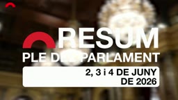 Resum de Plens - Resum del ple del 2, 3 i 4 de juny