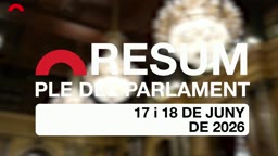 Resum de Plens - Resum del ple del 17 i 18 de juny
