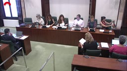 Pon�ncies (audi�ncies en procediment legislatiu) - Pon�ncia: Projecte de llei de drets [...]