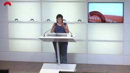 Confer�ncies de premsa - Confer�ncia de premsa de la presidenta del grup de la CUP-DT, Pilar [...]