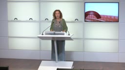 Confer�ncies de premsa - Confer�ncia de premsa de la portaveu del grup d'ERC, Ester Capella, [...]